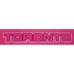 Pro Standard Big Girls WNBA Toronto Tempo Classic Triple Pink Crewneck Sweatshirt Beetroot Purple Xl