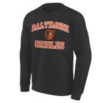 MLB Kids Youth 8-20 Official City Headline Arch Logo Fleece Lined Crewneck Sweatshirt (US, Numeric, 8, Regular, Baltimore Orioles - Black)