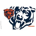 Tervis Made in USA Double Walled NFL Chicago Bears Insulated Tumbler Cup Keeps Drinks Cold & Hot, 16oz, Genuine