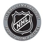 NHL Washington Capitals Logo Novelty Silver Plated Stud Earrings