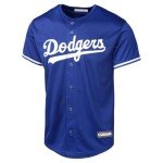 Shohei Ohtani Los Angeles Dodgers MLB Kids Youth 8-20 Blue Alternate Player Jersey (US, Numeric, 14, 16, Regular, Shohei Ohtani Los Angeles Dodgers Blue)
