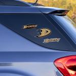 Rico MSS9102 San Jose Sharks Triple Spirit Stickers