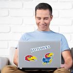 Rico MSS9102 San Jose Sharks Triple Spirit Stickers