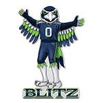 Rico Industries NFL Seattle Seahawks Mascot Shape Cut Pennant - Home and Living Room Décor - Soft Felt EZ to Hang 18x0.10x18
