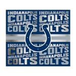 Rico Industries NFL Football Indianapolis Colts 22oz Stainless Steel Tumbler with Lid - Great For Coffee, Tea, Water or Cocktails