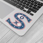 White Wool Sox The City of Chicago Logo Baseball Car Bumper Sticker Decal 4'' X 5''
