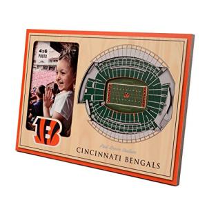 YouTheFan NFL Cincinnati Bengals 3D StadiumViews Picture Frame