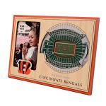 YouTheFan NFL Cincinnati Bengals 3D StadiumViews Picture Frame