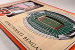 YouTheFan NFL Cincinnati Bengals 3D StadiumViews Picture Frame