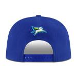 Ultra Game WNBA Official Adults Snap Back 3D Embroidered Baseball Cap Hat, Dallas Wings, Team Color, One Size