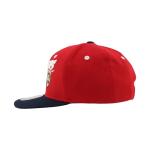 Florida Panthers NHL Officially Licensed Youth Adjustable Snapback Hat Flat Bill Z11