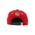Florida Panthers NHL Officially Licensed Youth Adjustable Snapback Hat Flat Bill Z11