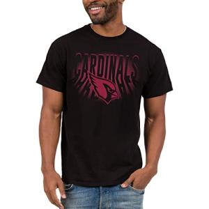 Junk Food Clothing x NFL - Arizona Cardinals - Team Spotlight - Unisex Adult Short Sleeve Fan T-Shirt for Men and Women - Size XX-Large
