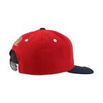 Florida Panthers NHL Officially Licensed Youth Adjustable Snapback Hat Flat Bill Z11