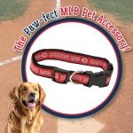 MLB Cincinnati Reds Licensed PET COLLAR- Heavy-Duty, Strong, and Durable Dog Collar. Available in 29 Baseball Teams and 4 Sizes