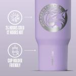 Hydrapeak x WNBA Officially Licensed Minnesota Lynx 25 oz Tumbler with Sip and Straw Lid, Cup Holder Friendly, Leakproof Insulated Tumbler