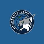 Hydrapeak x WNBA Officially Licensed Minnesota Lynx 25 oz Tumbler with Sip and Straw Lid, Cup Holder Friendly, Leakproof Insulated Tumbler