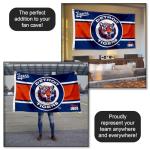 WinCraft Detroit Tigers Retro Vintage Throwback 3x5 Foot Grommet Banner Flag