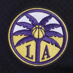 Pro Standard Mens WNBA Los Angeles Sparks Mesh Button Down Mesh Top Black/Purple S