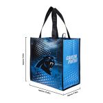 FOCO Carolina Panthers NFL 4 Pack Reusable Shopping Bag