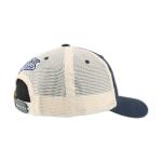 Winnipeg Jets NHL Officially Licensed Adjustable Snapback Hat University Icon Team Color