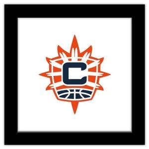 Trends International Gallery Pops WNBA Connecticut Sun - Primary Logo Wall Art, 12" x 12" Gallery Pops Wall Art, Black Framed Version