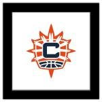Trends International Gallery Pops WNBA Connecticut Sun - Primary Logo Wall Art, 12" x 12" Gallery Pops Wall Art, Black Framed Version