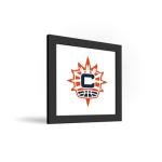Trends International Gallery Pops WNBA Connecticut Sun - Primary Logo Wall Art, 12" x 12" Gallery Pops Wall Art, Black Framed Version