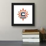 Trends International Gallery Pops WNBA Connecticut Sun - Primary Logo Wall Art, 12" x 12" Gallery Pops Wall Art, Black Framed Version