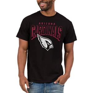 Junk Food NFL - Arizona Cardinals - Bold Logo - Officially Licensed Adult Short Sleeve Fan Tee for Men and Women