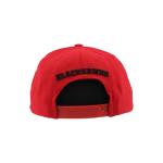 Chicago Blackhawks NHL Officially Licensed Adjustable Snapback Hat Flat Bill Z11 Icon Team Color