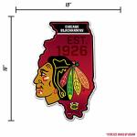 Rico Industries NHL Hockey Chicago Blackhawks State Shape Shape Cut Pennant - Home and Living Room Décor - Soft Felt EZ to Hang