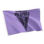 Desert Cactus Golden State Valkyries Flag Team WNBA 100% Polyester Indoor Outdoor 3x5 feet Flag (Design B)