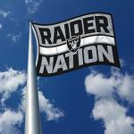Rico Industries NFL Football Las Vegas Raiders Bold 3' x 5' Banner Flag Single Sided - Indoor or Outdoor - Home Décor