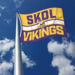 Rico Industries NFL Football Minnesota Vikings Bold 3' x 5' Banner Flag Single Sided - Indoor or Outdoor - Home Décor