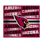 Rico Industries NFL Football Arizona Cardinals 22oz Stainless Steel Tumbler with Lid - Great For Coffee, Tea, Water or Cocktails
