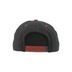 Minnesota Wild NHL Officially Licensed Adjustable Snapback Hat Flat Bill Z11 Bolt