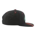 Minnesota Wild NHL Officially Licensed Adjustable Snapback Hat Flat Bill Z11 Bolt