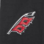 Pro Standard Womens NHL Carolina Hurricanes Classic Chenille Legging Black L