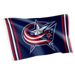Desert Cactus Columbus Blue Jackets Flag NHL 100% Polyester Indoor Outdoor 3x5 feet National Hockey League Team Flags (Flag B)