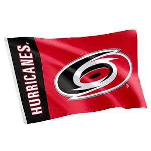 Desert Cactus Carolina Hurricanes Flag NHL 100% Polyester Indoor Outdoor 3x5 feet National Hockey League Team Flags (Name Flag)