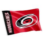 Desert Cactus Carolina Hurricanes Flag NHL 100% Polyester Indoor Outdoor 3x5 feet National Hockey League Team Flags (Name Flag)