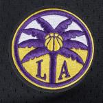 Pro Standard Big Boys WNBA Los Angeles Sparks MESH Button Down MESH TOP Black/Purple M