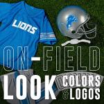 Detroit Lions NFL Youth Uniform Set Halloween Costume