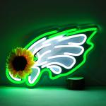 JFLLamp Eagles Neon Signs for Wall Decor Eagles Neon Lights for Bedroom Led Signs Suitable for Dormitory Man Cave Christmas Gift
