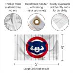 Chicago Baseball Vintage and Banner