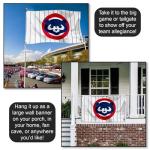 Chicago Baseball Vintage and Banner