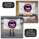 Chicago Baseball Vintage and Banner