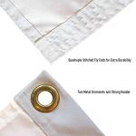 Chicago Baseball Vintage and Banner