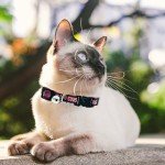 MLB CAT Collar Chicago Cubs Satin Cat Collar Baseball Team Collar for Dogs & Cats. A Shiny & Colorful Cat Collar with Ringing Bell Pendant